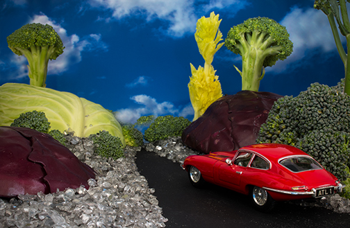 Jag visits Veggieland