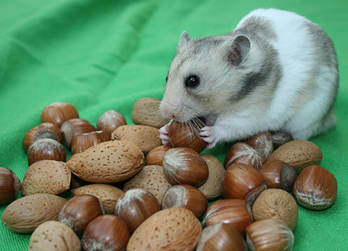 Phil Moorhouse Nuts All Being Stolen f5_6