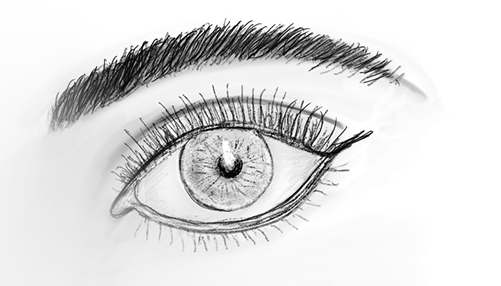 eye2
