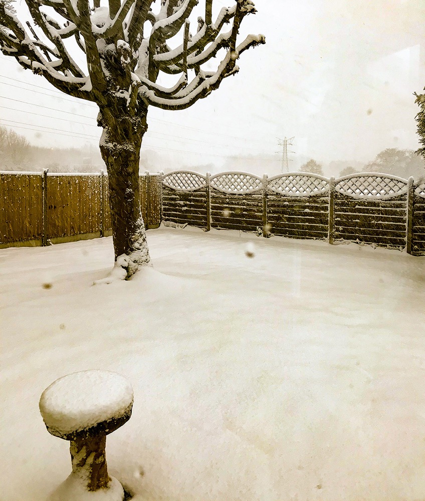 Snowy Scene
