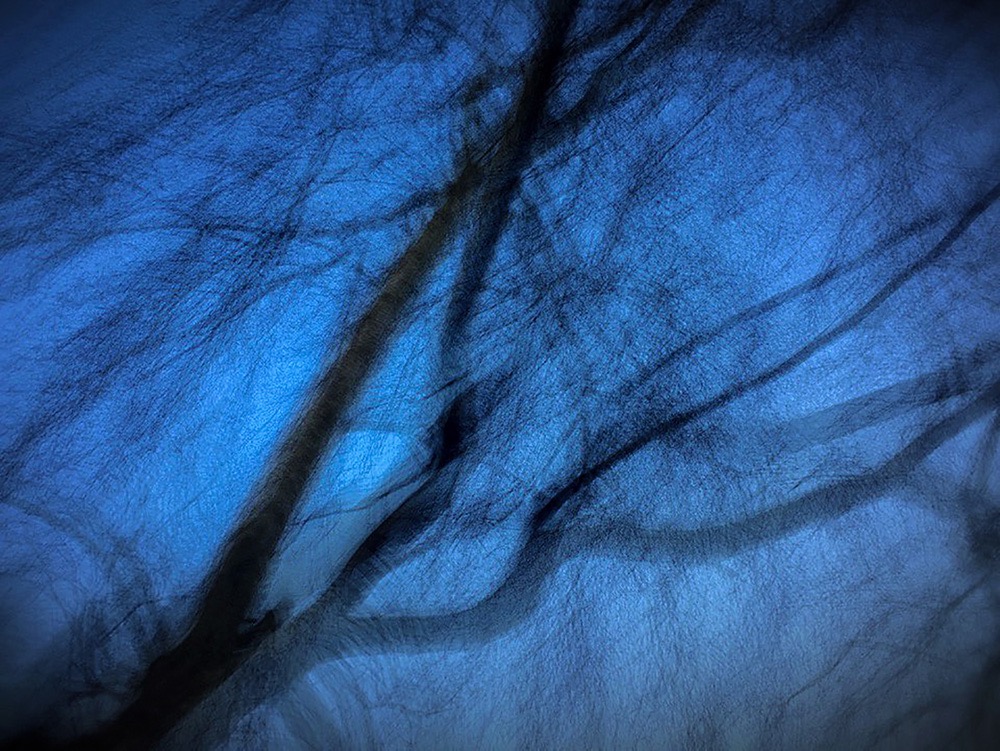 Blowing in the Wind