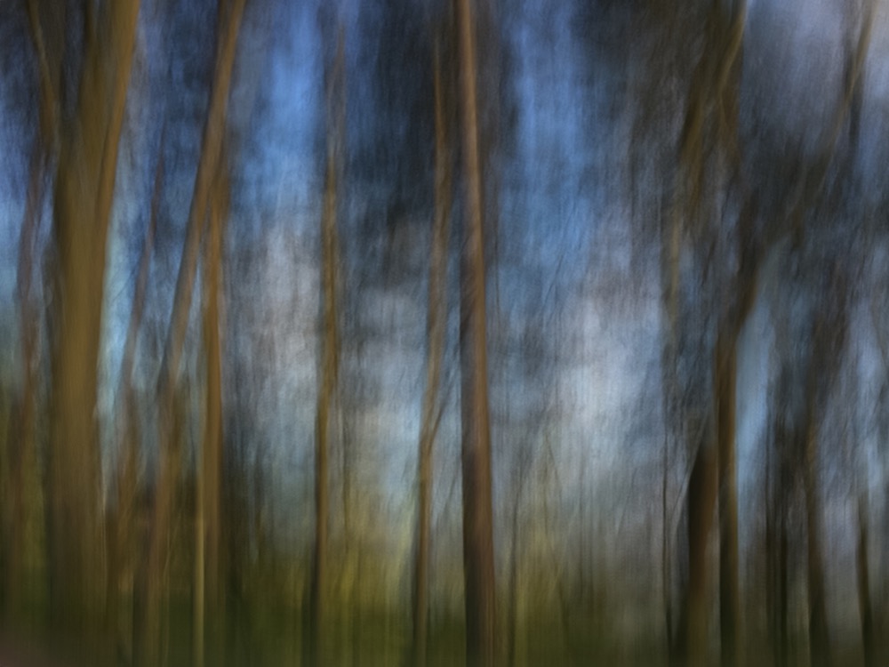 Impression of Brueton Park