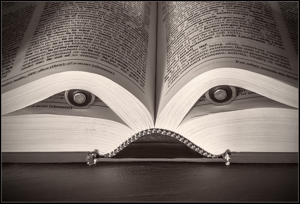 The Book Worm