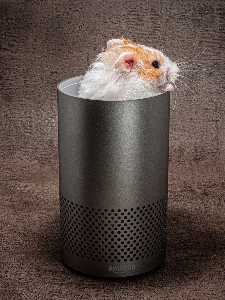 The Voice of Alexa .... Revealed!(1)