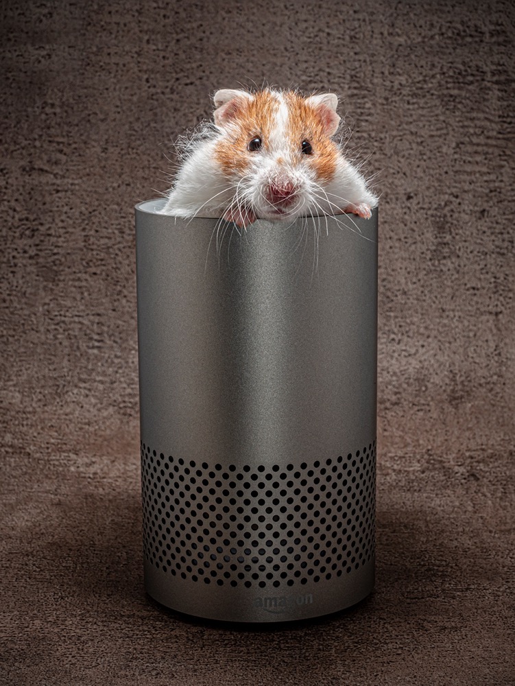 The Voice of Alexa .... Revealed!(2)
