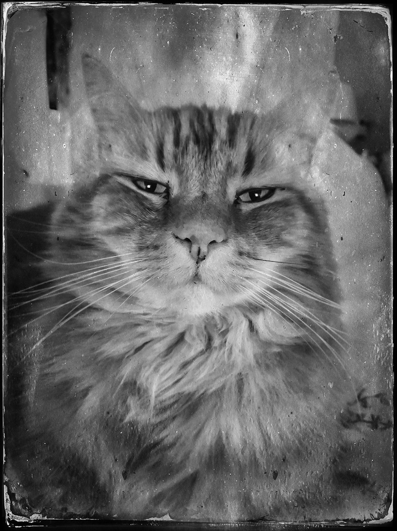 Monty